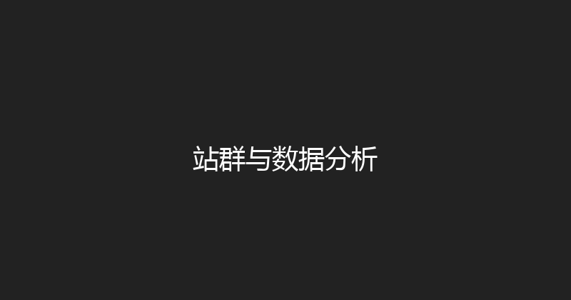 站群与数据分析 封面图